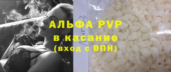 сатива Пролетарск