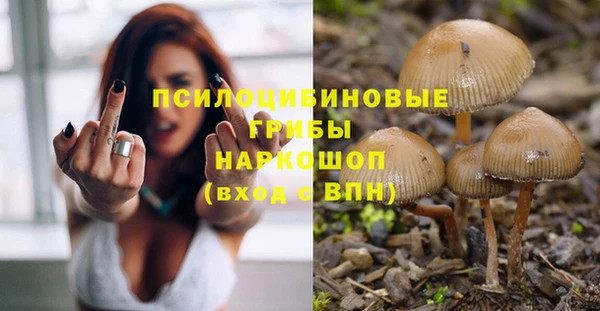 прущие крисы Протвино