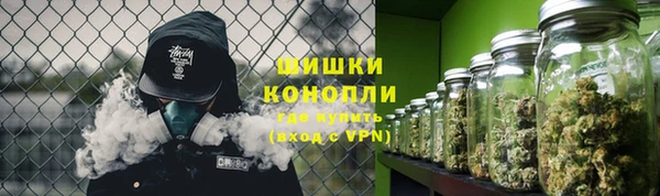 сатива Пролетарск